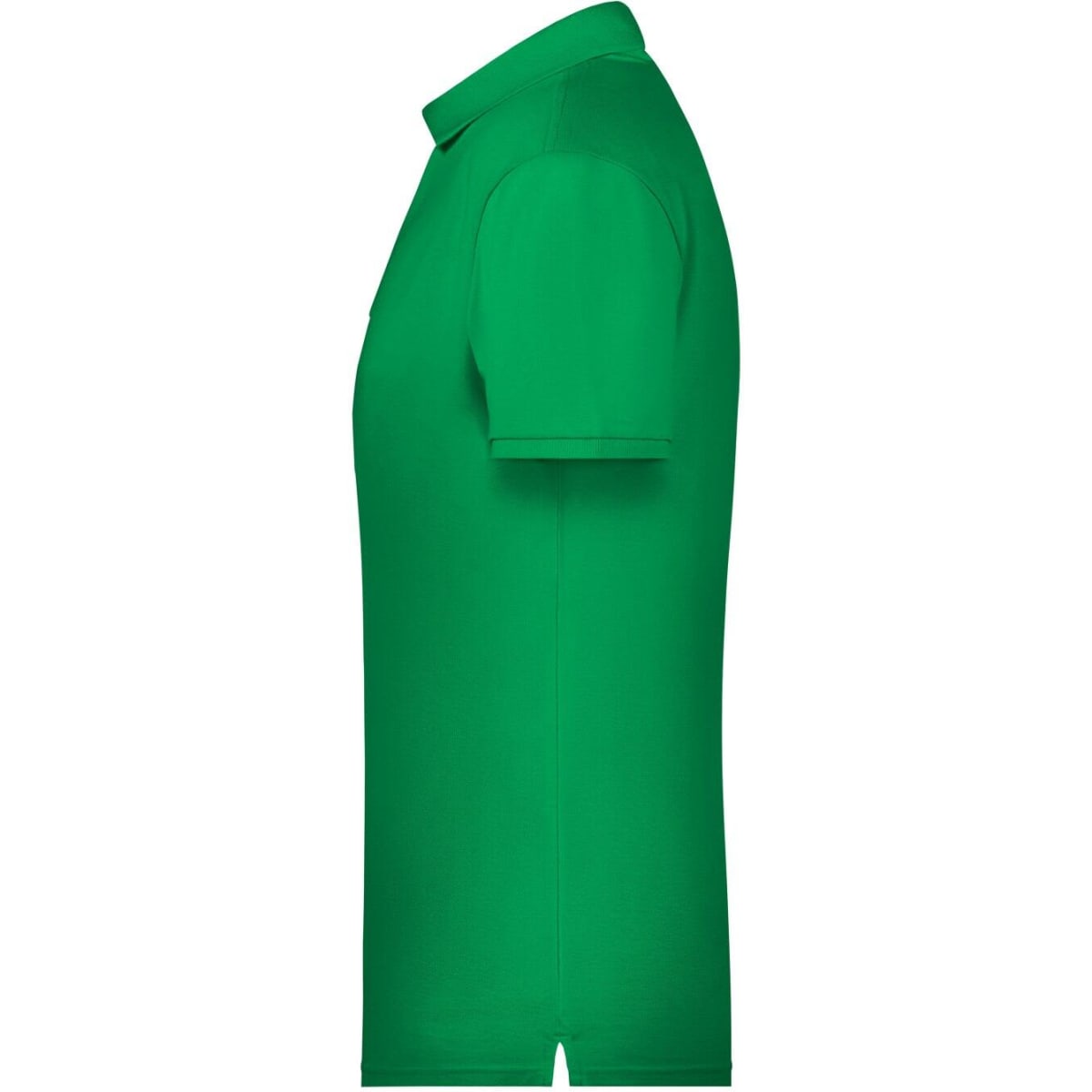 8010-fern-green-2