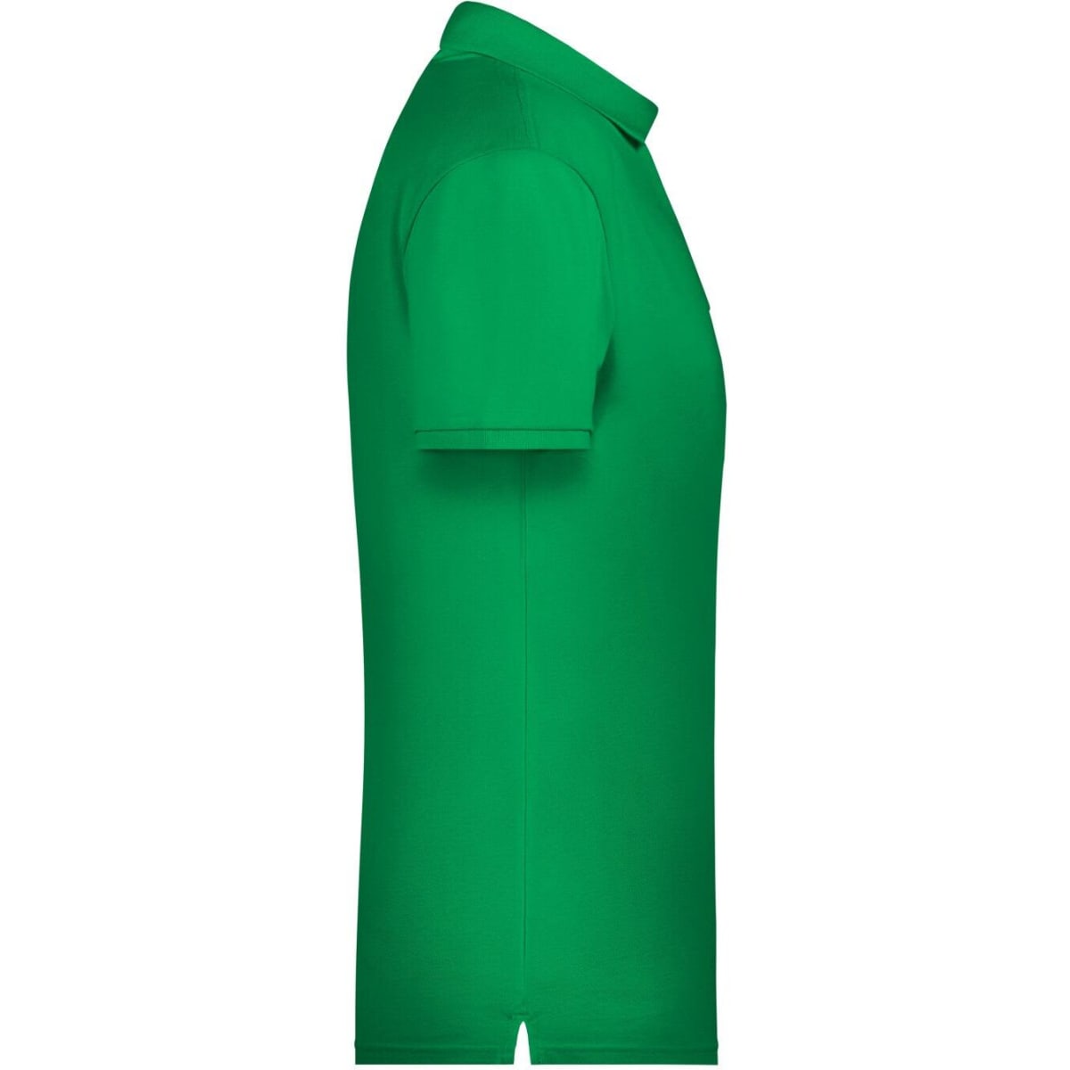 8010-fern-green-3