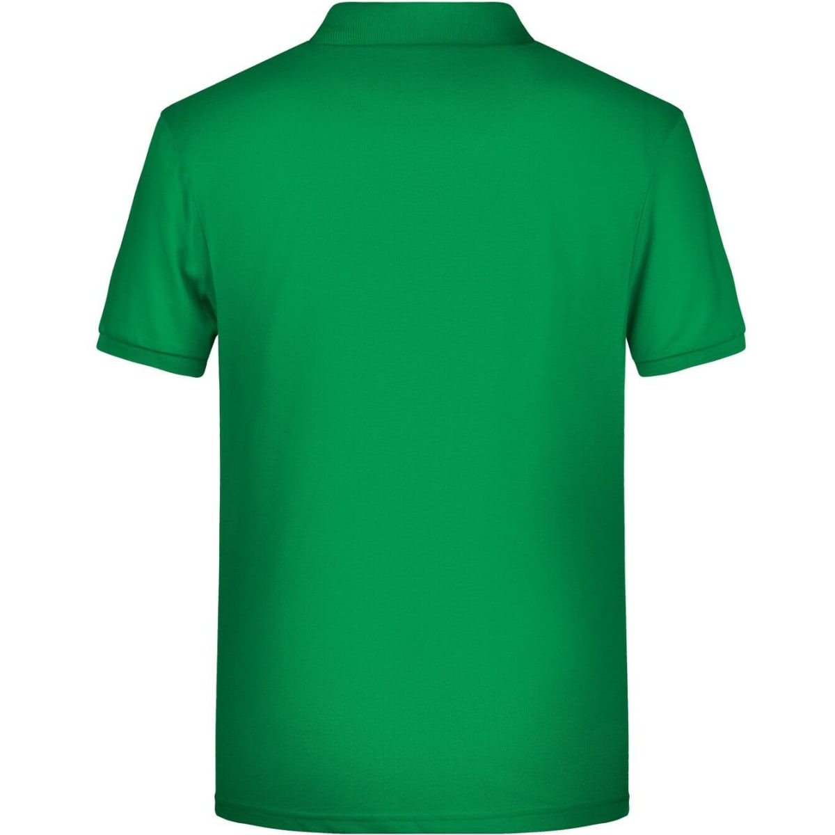 8010-fern-green-4