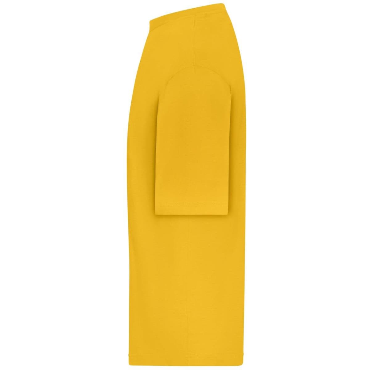 8041-sunflower-2