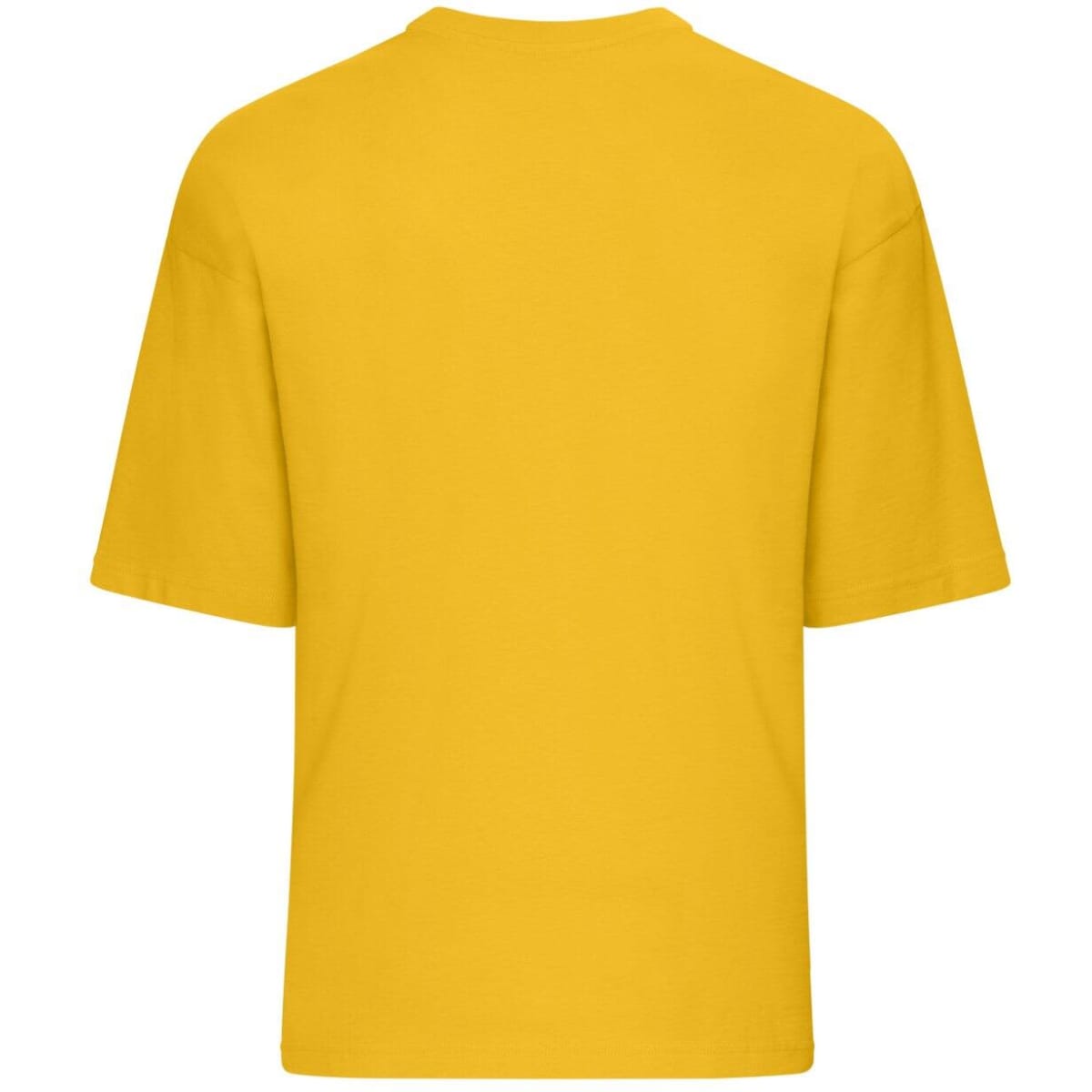 8041-sunflower-4