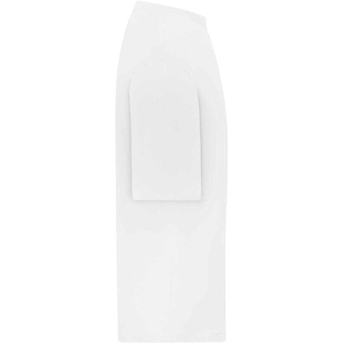 8041-white-3