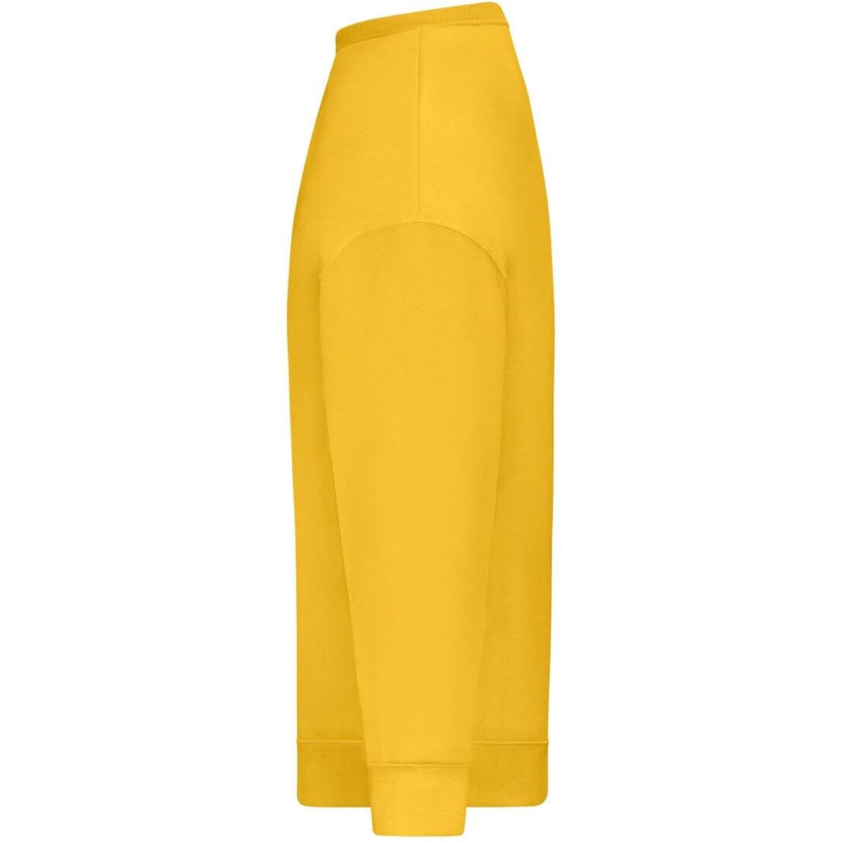 8042-sunflower-2