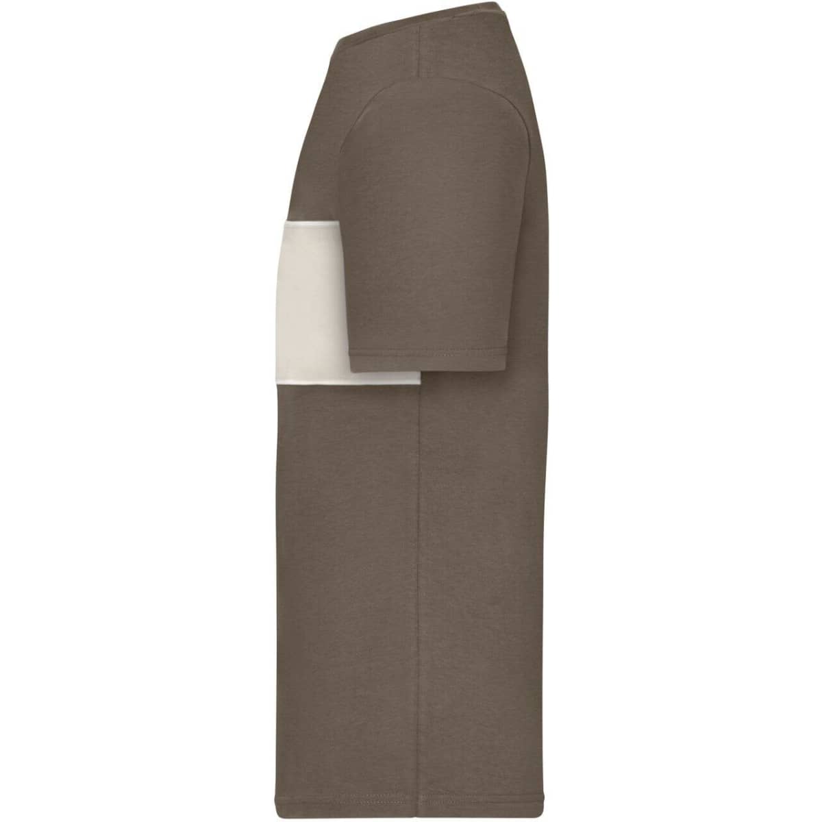 8049-muddy-brown-sandstone-2