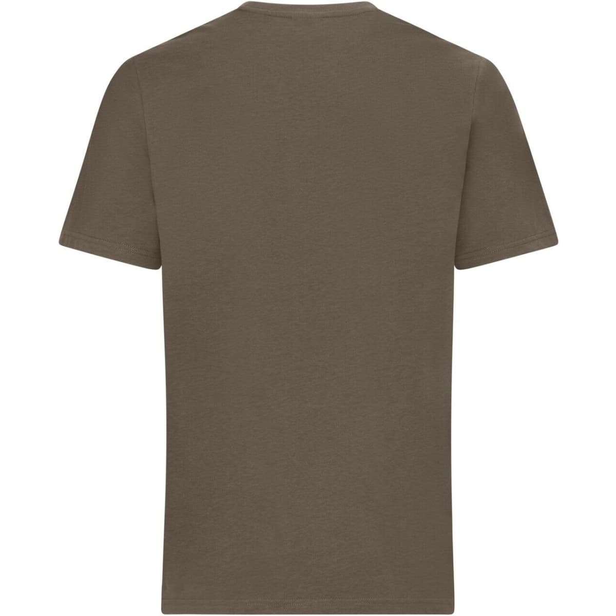 8049-muddy-brown-sandstone-4
