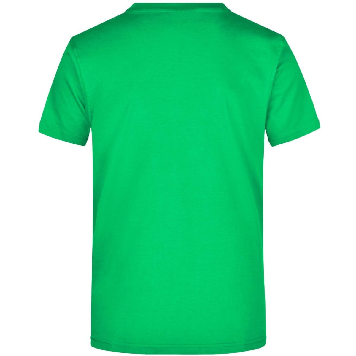 jn002-fern-green-4