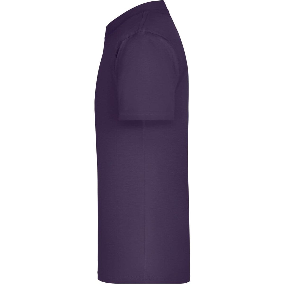 jn019-aubergine-2