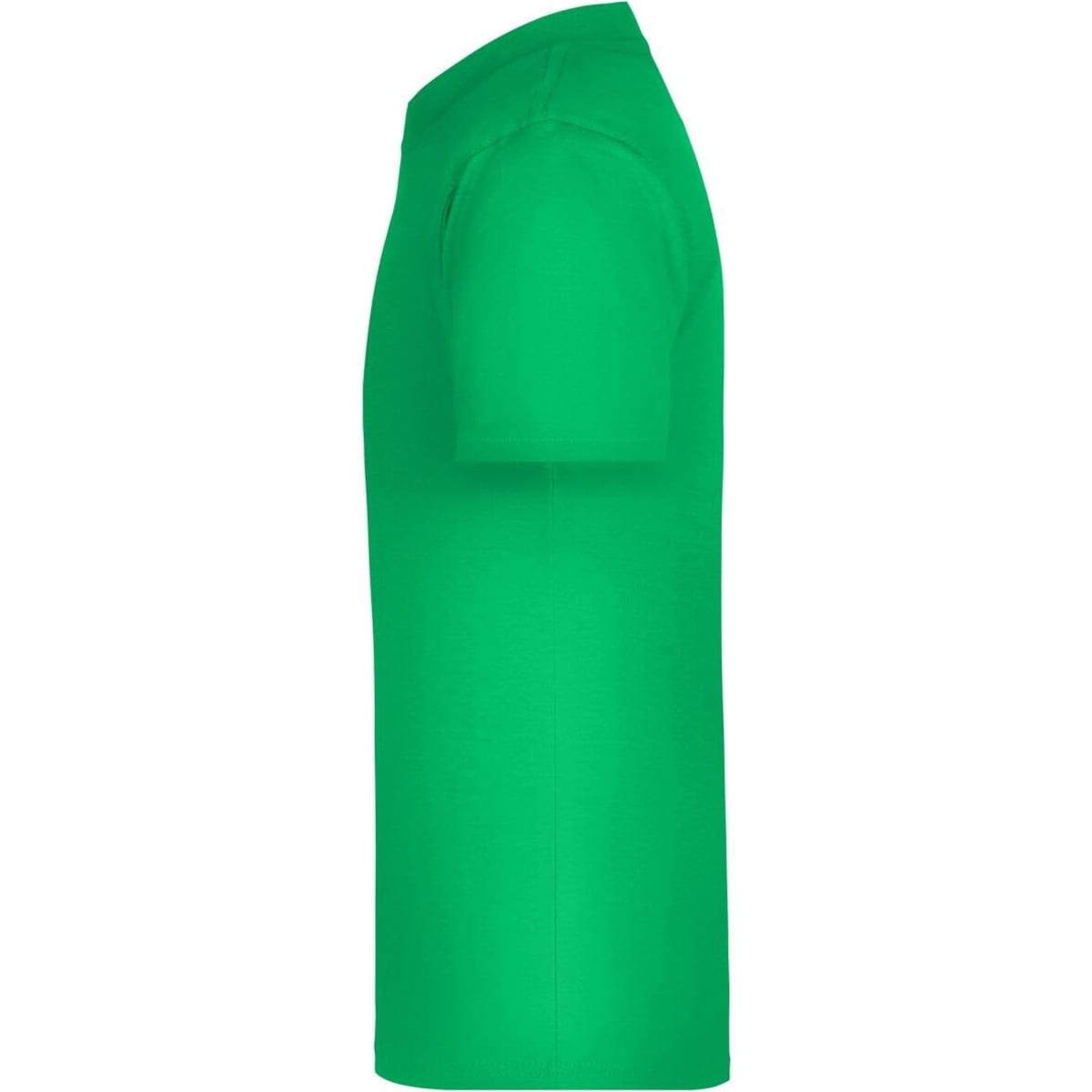 jn019-fern-green-2