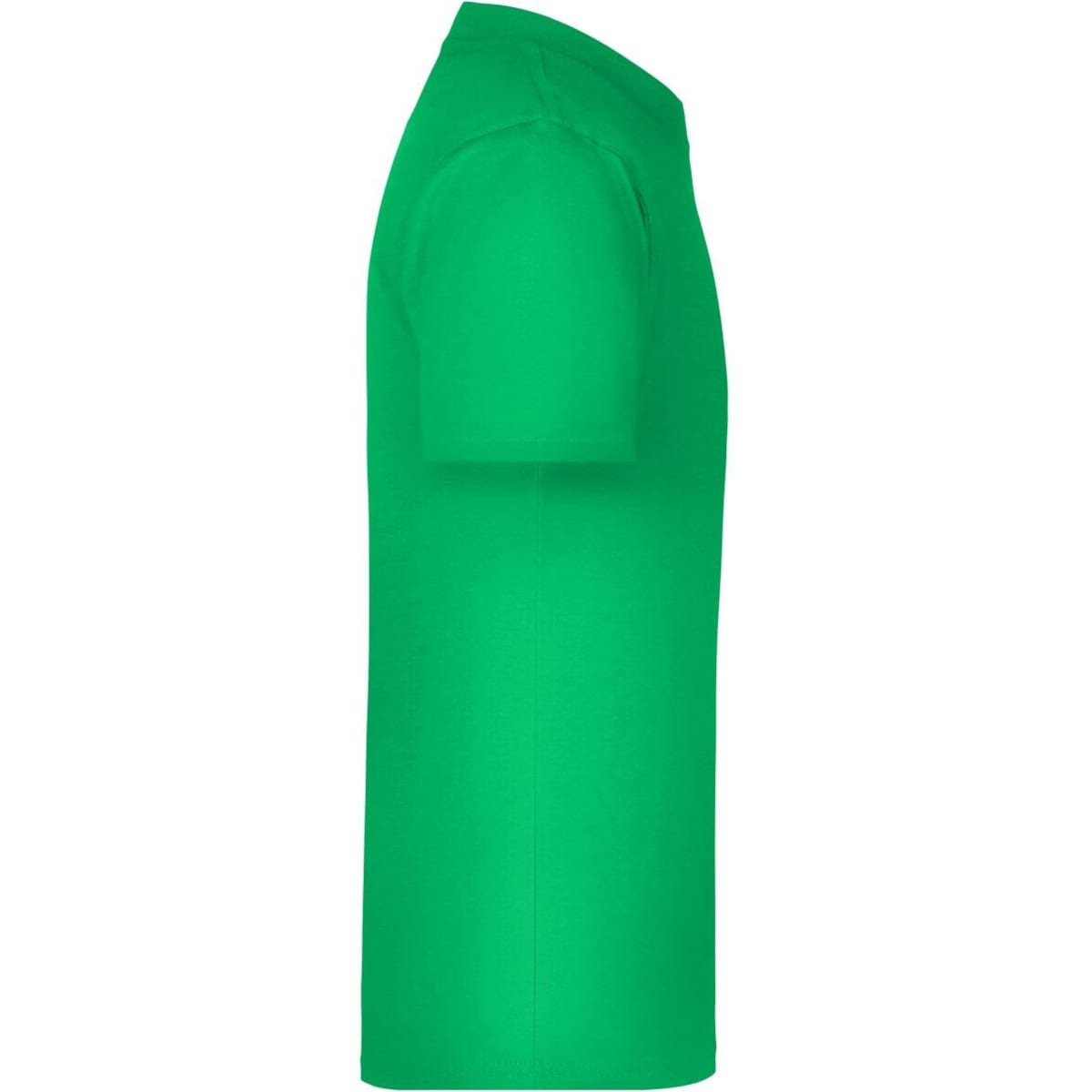 jn019-fern-green-3