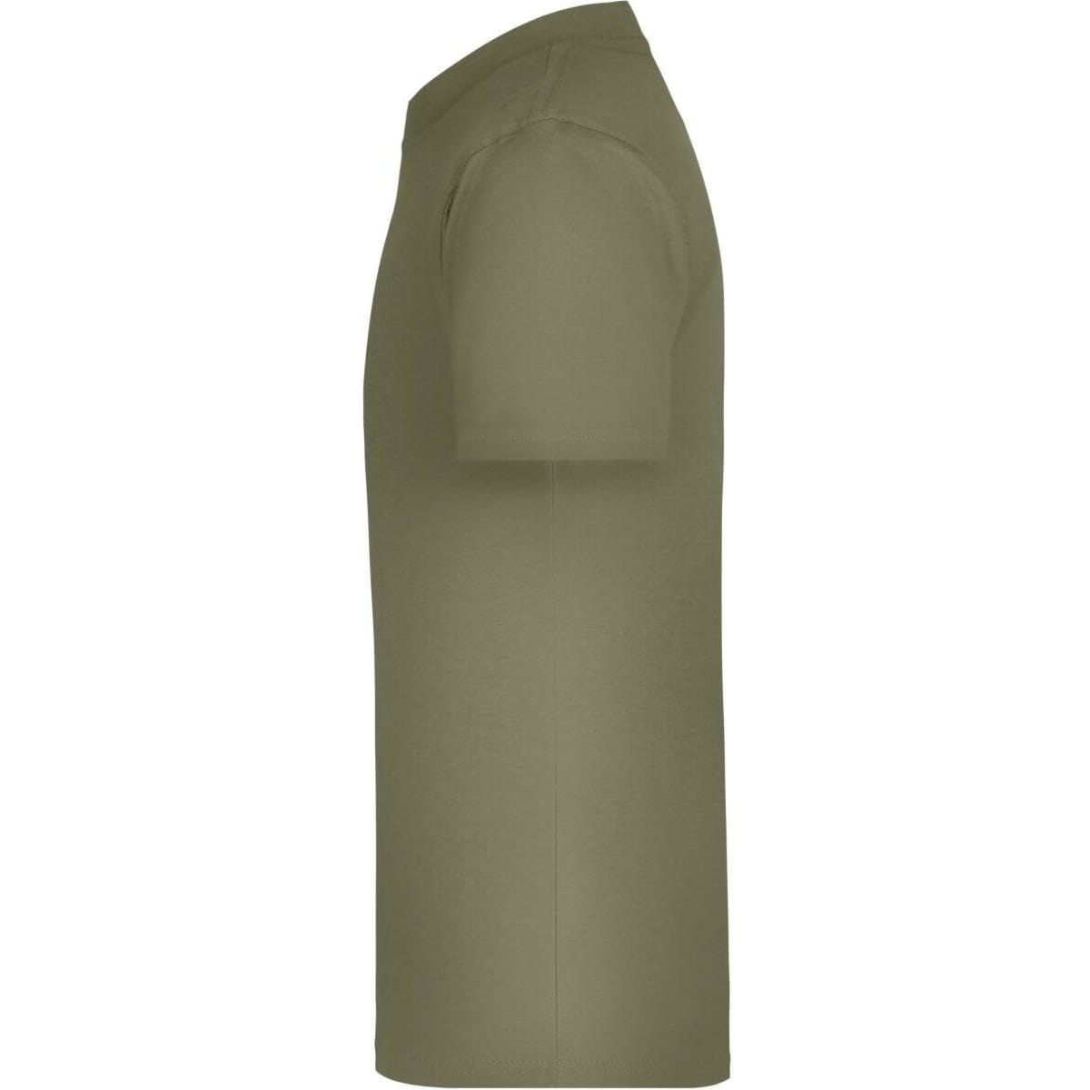 jn019-olive-2