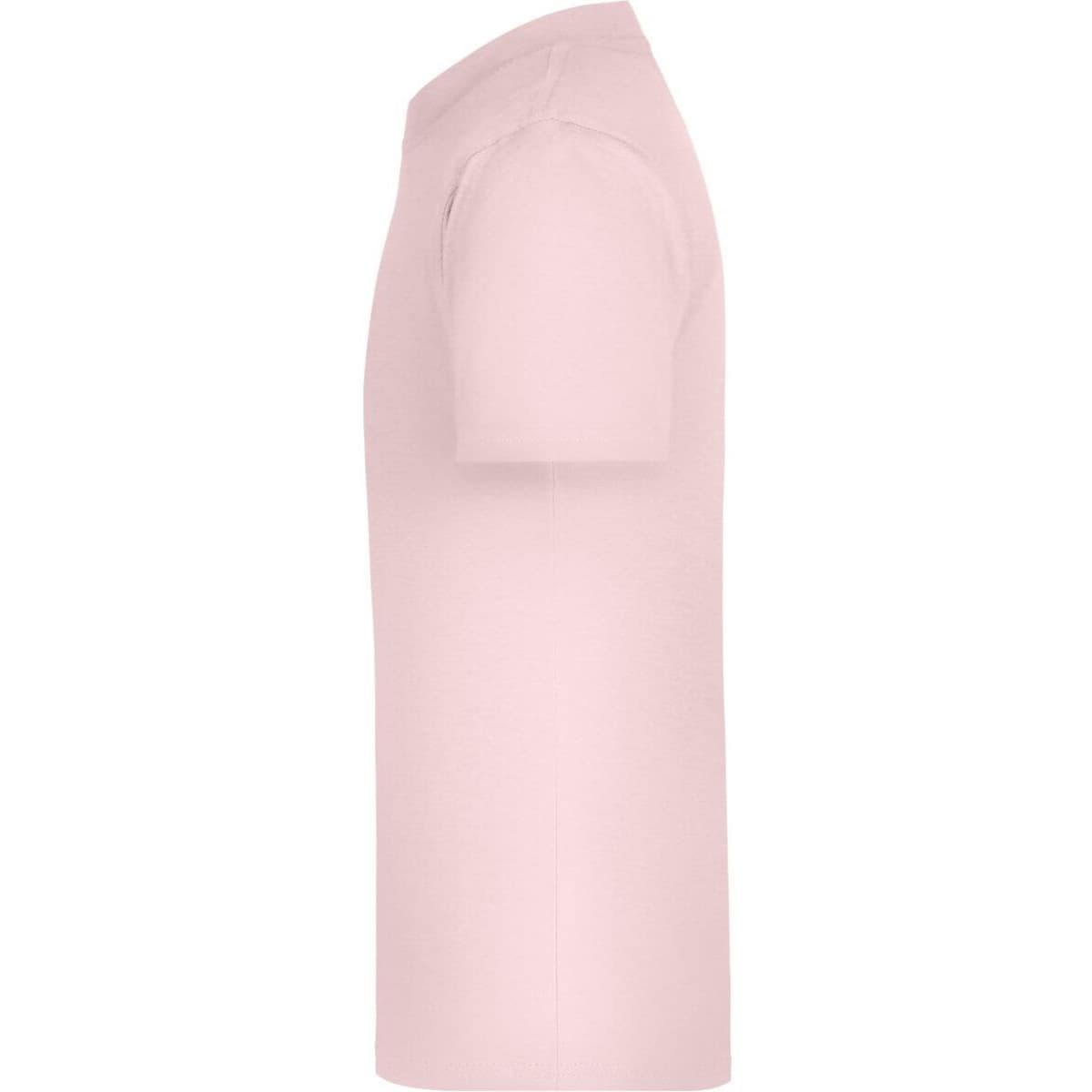 jn019-rose-2