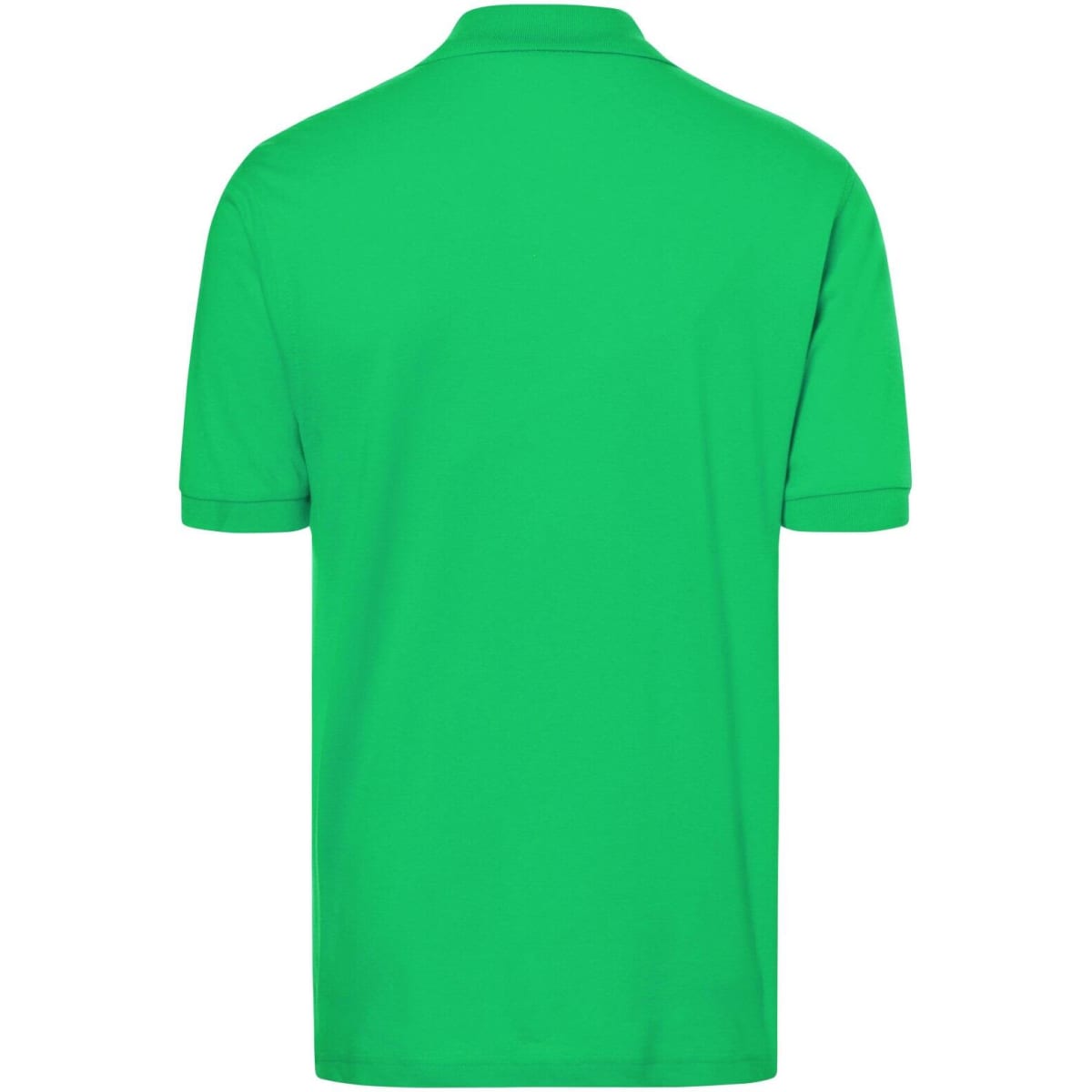 jn070-fern-green-4_1