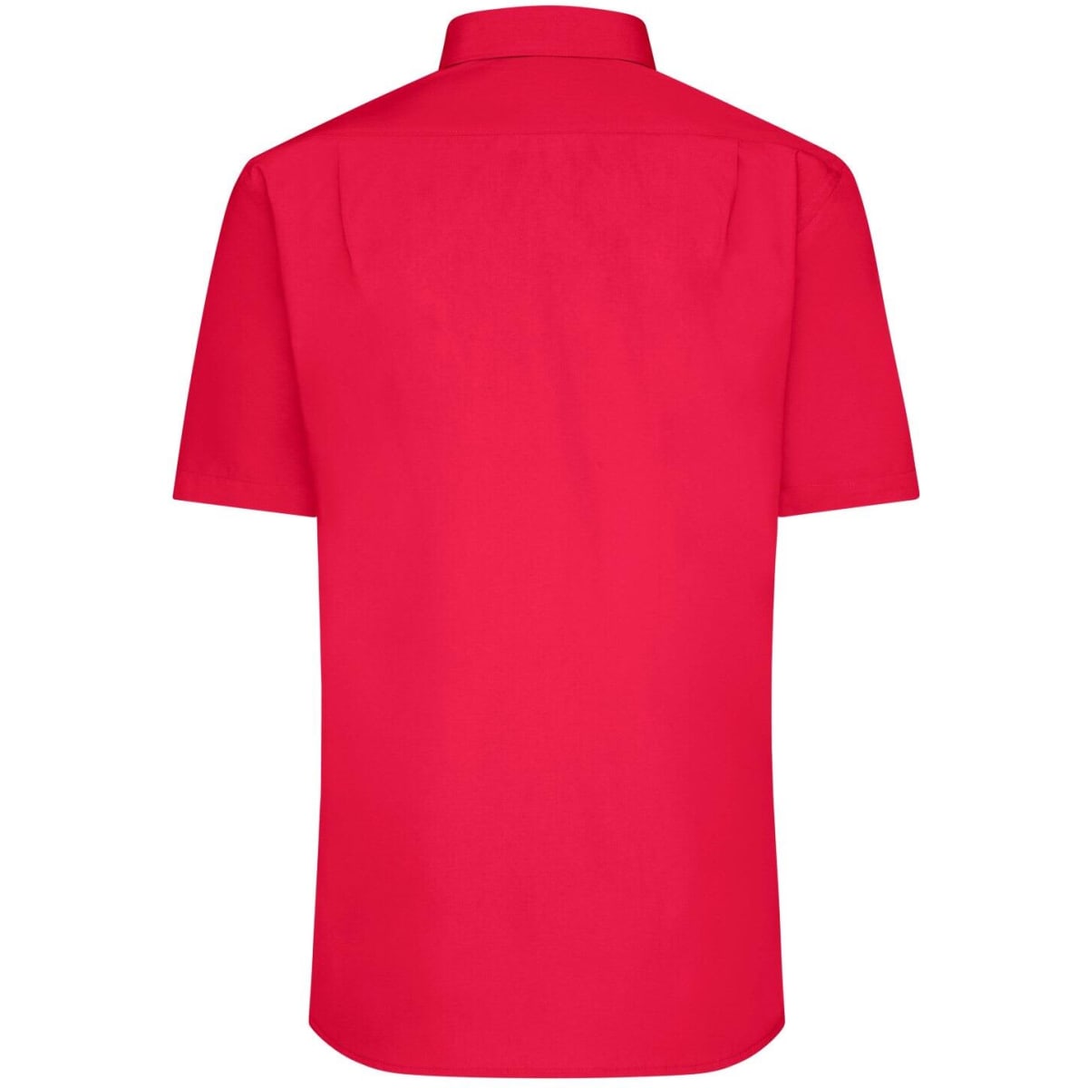 jn680-tomato-4