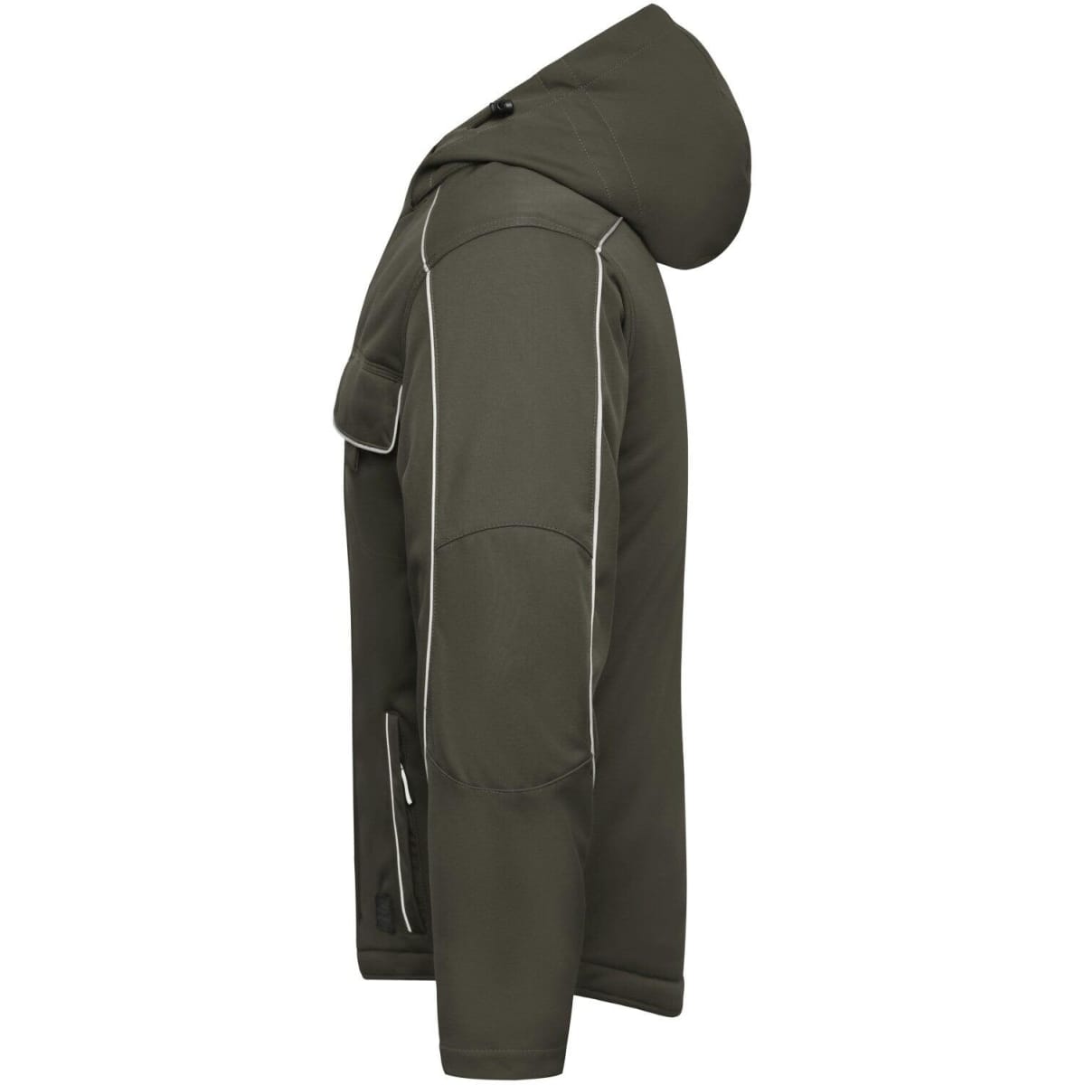 jn886-olive-2