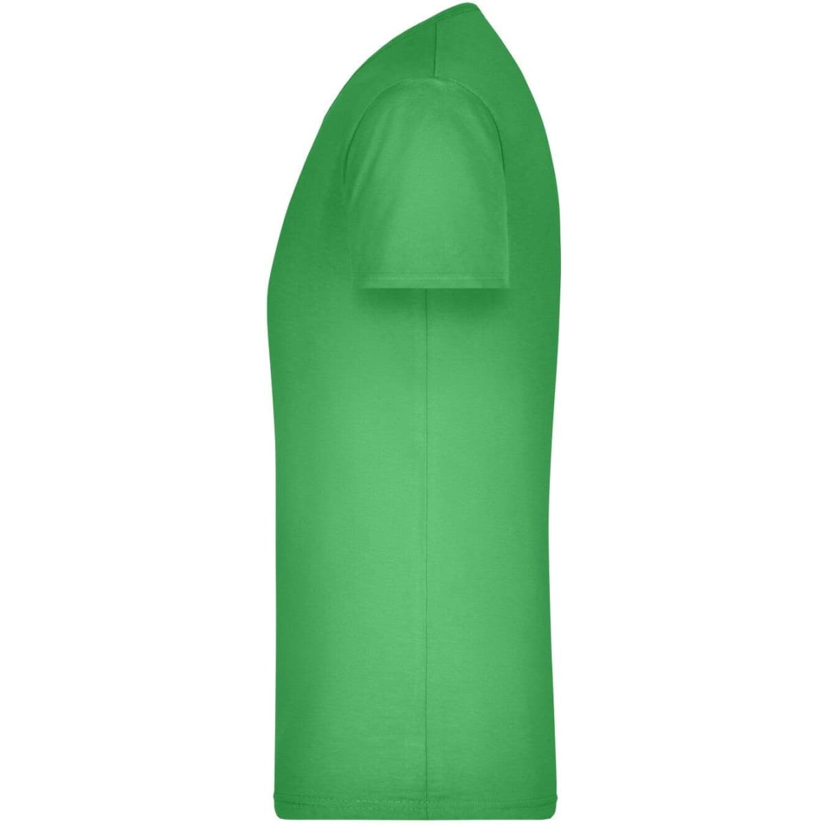 jn912-frog-2