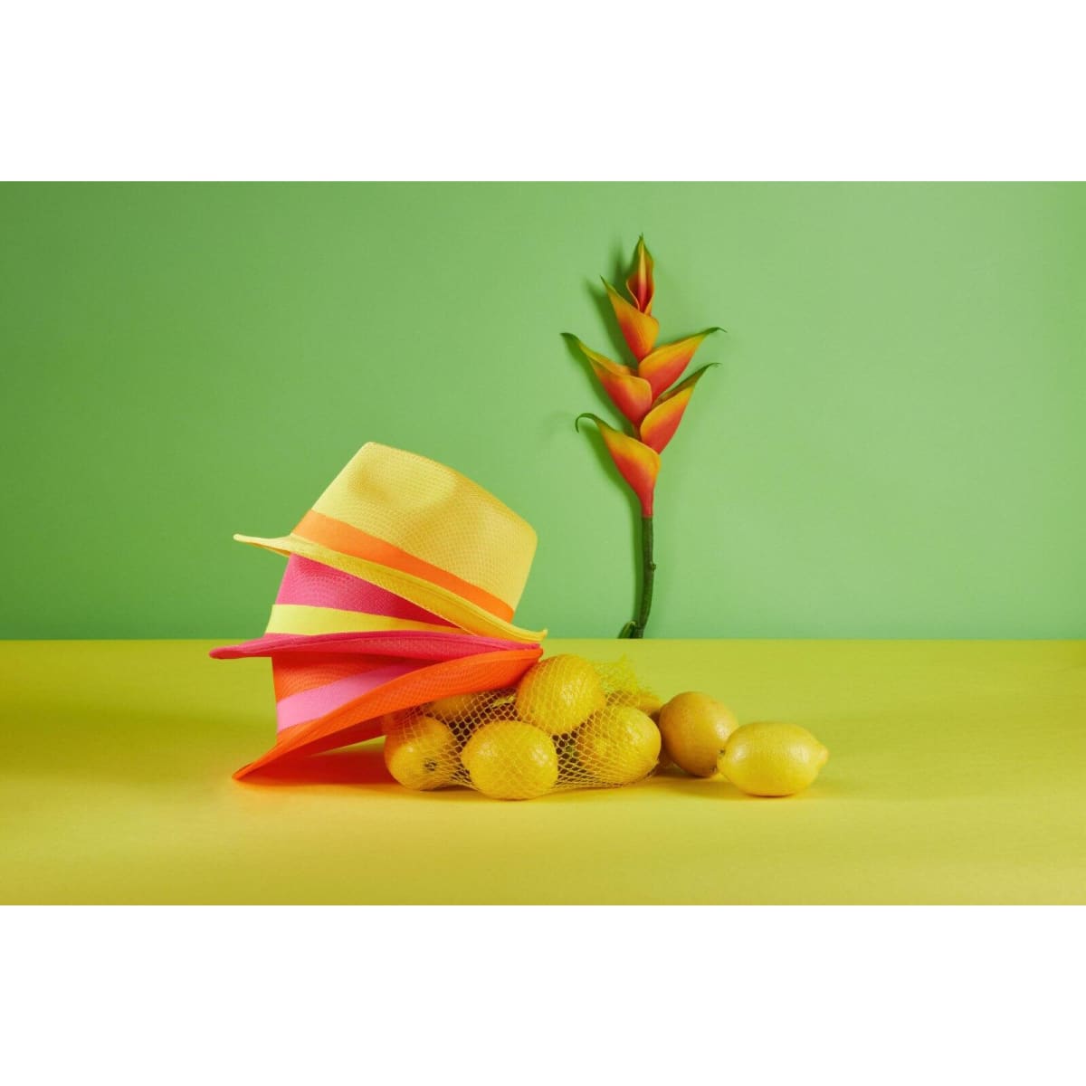 Ribbon for Promotion Hat