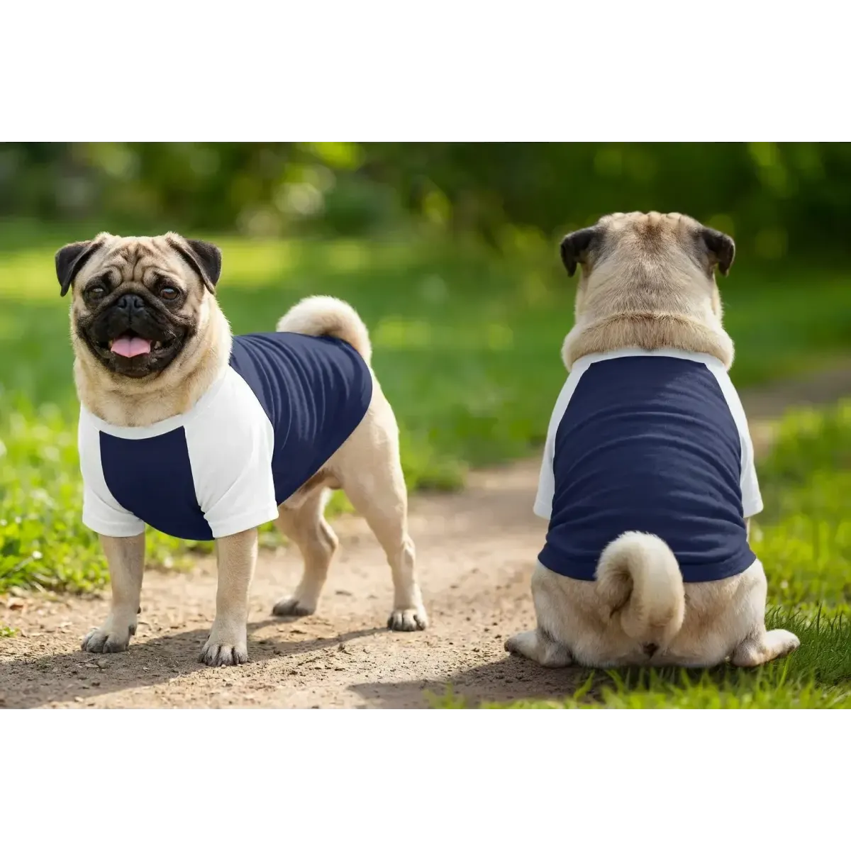 Two pugs wearing navy blue and white raglan t-shirts stand on a grassy path, facing away and towards the camera.