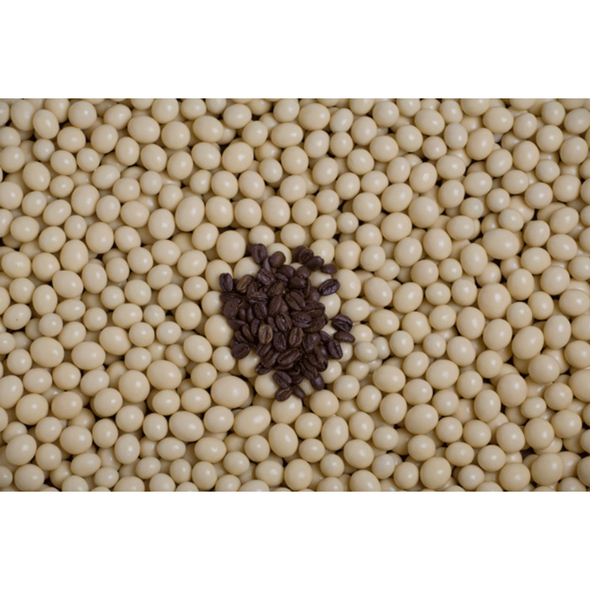 choc_coated_coffee_beans_white