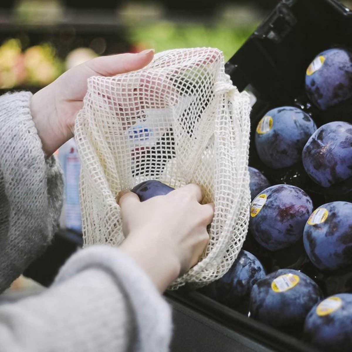 A cream mesh produce bag held by a hand, filled with plump purple plums in a grocery store.