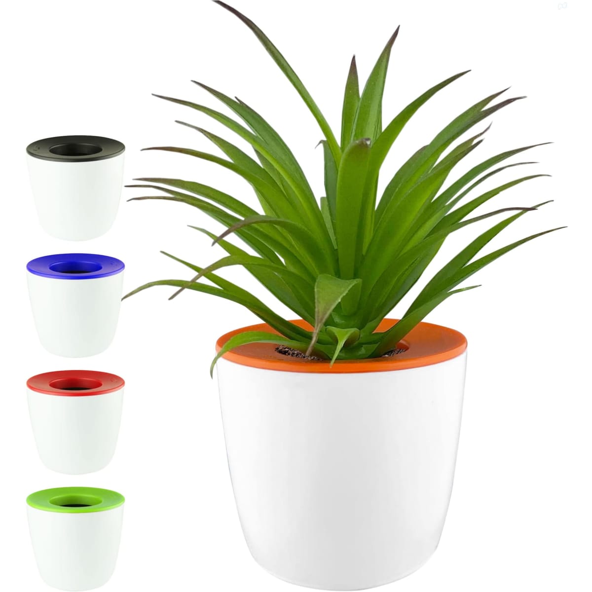 A white mini desk plant pot with a vibrant orange top, featuring a green plant. Includes additional pots in black, blue, and green.