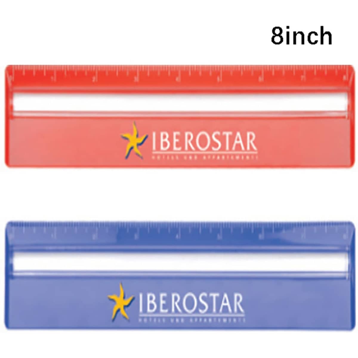 20cm Ruler with Magnifying