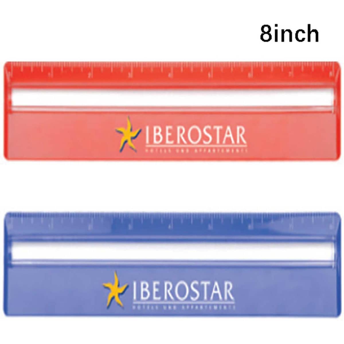 20cm Ruler with Magnifying