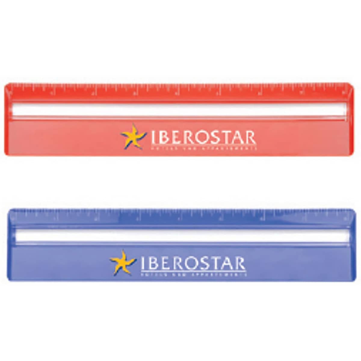20cm Ruler with Colour and Magnifying