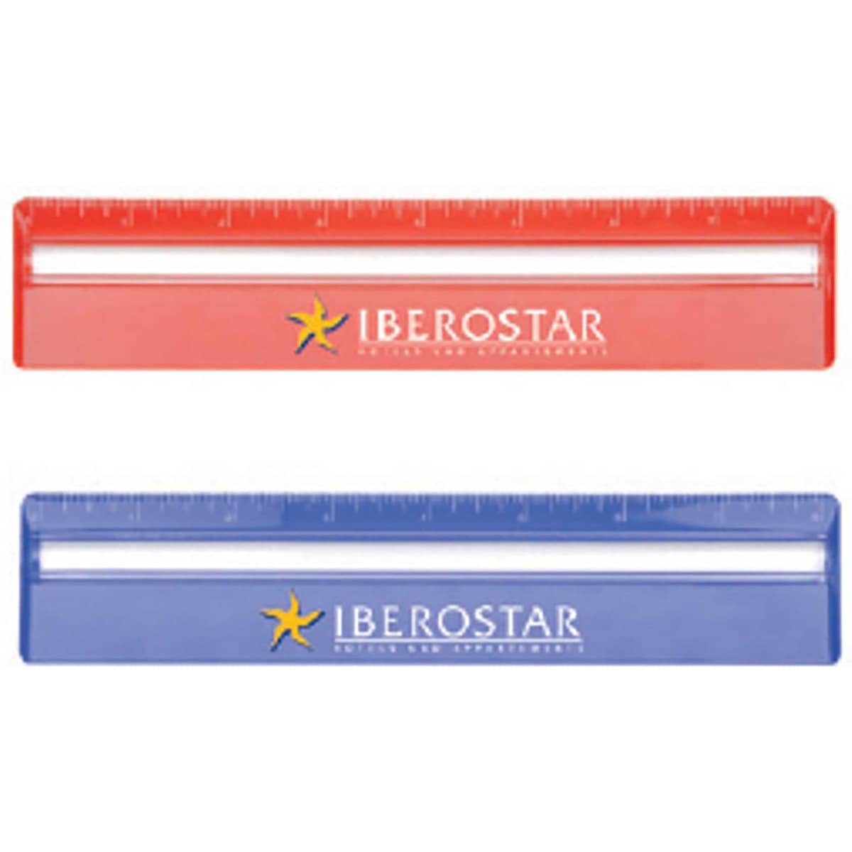 20cm Ruler with Colour and Magnifying