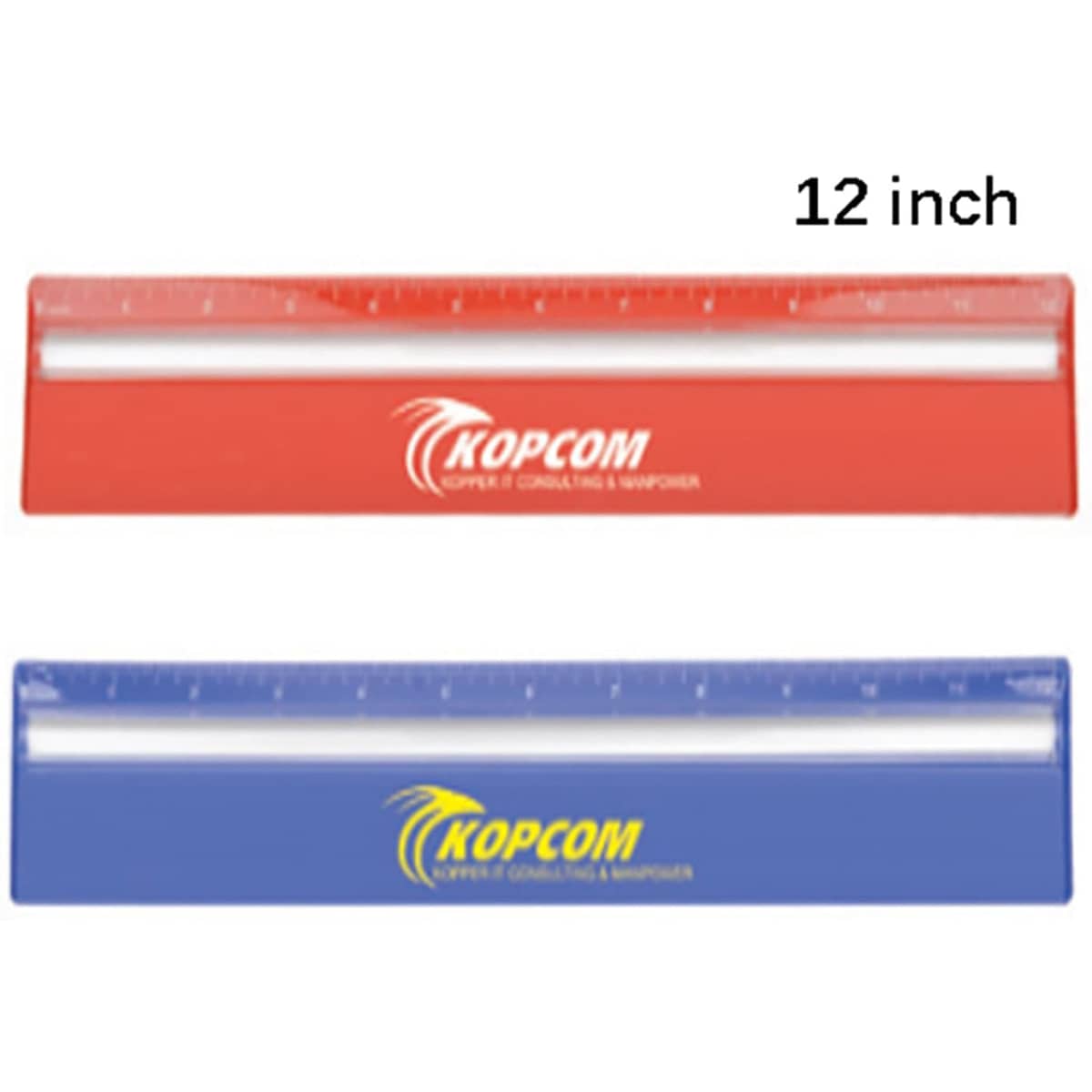 30cm Ruler with Colour and Magnifying