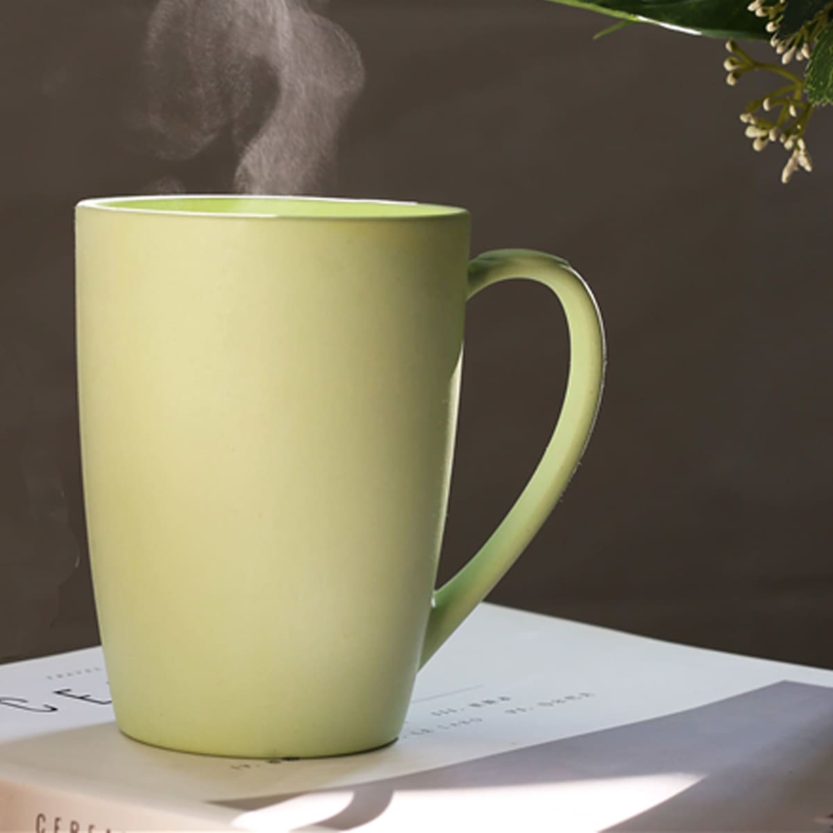 Envee Bamboo Mug