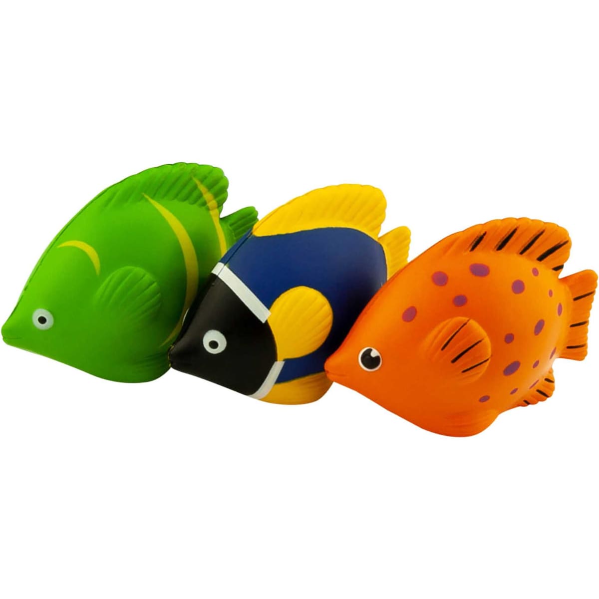 Stress Tropical Fish