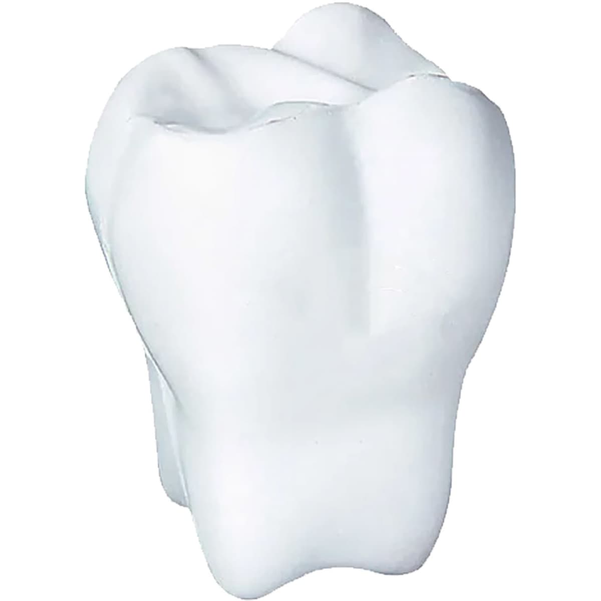 A white stress toy shaped like a tooth, featuring smooth surfaces and rounded edges. It has a logo on it.