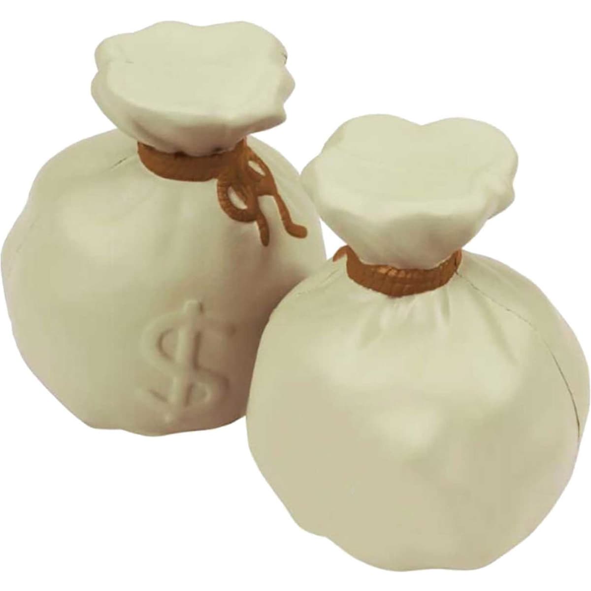 Stress Money Bag