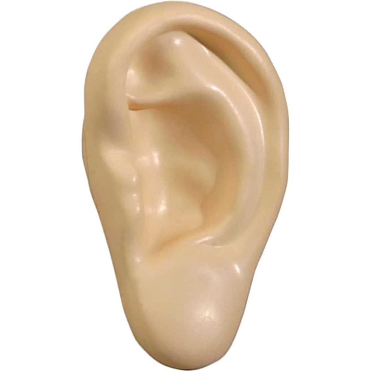 A stress shape in the form of a human ear, featuring a smooth, light beige surface and a glossy finish.