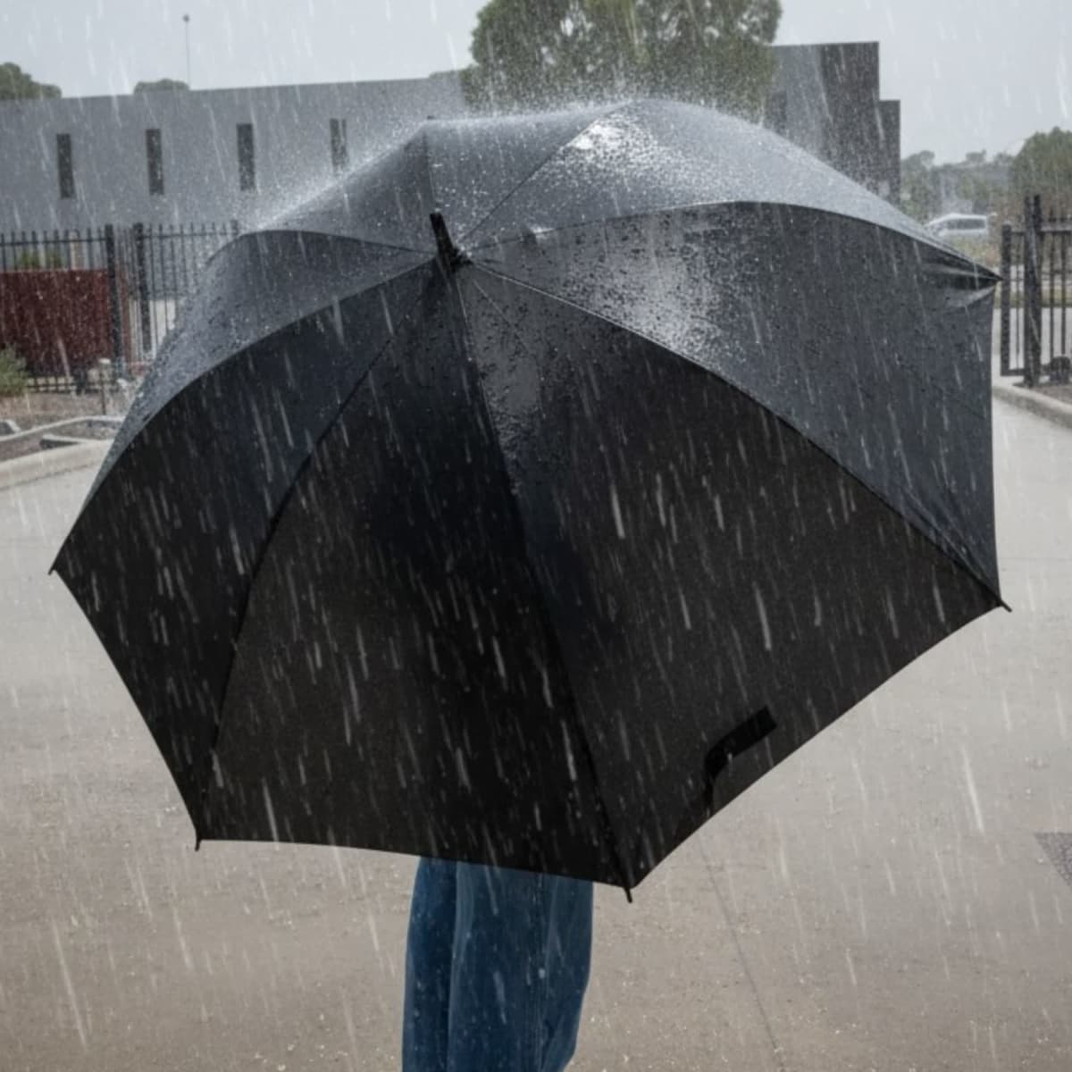 York Umbrella