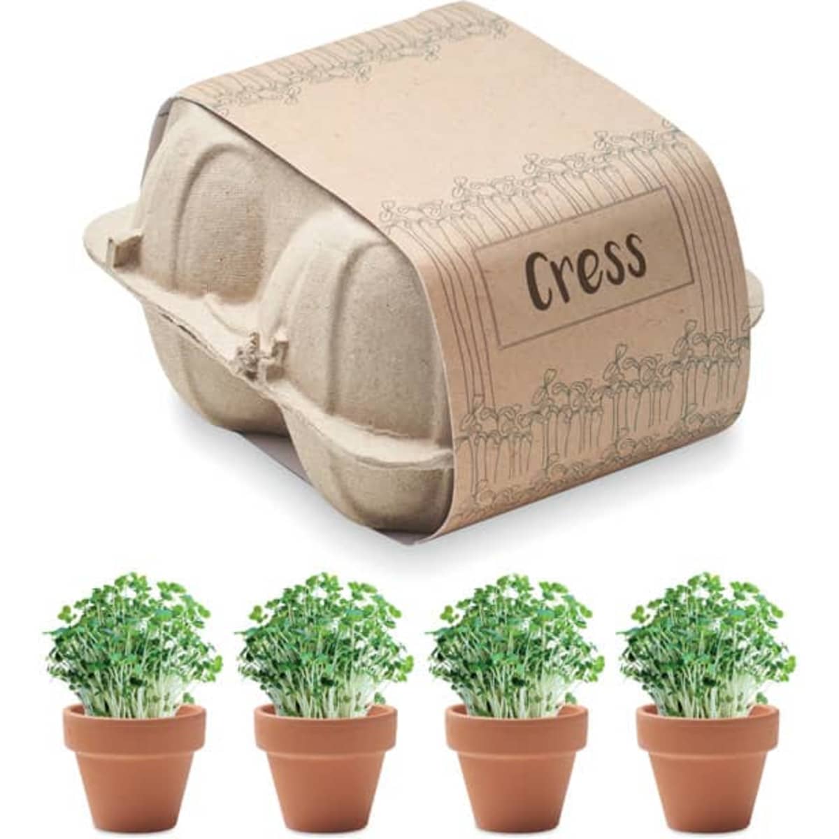 A planting kit featuring a cardboard box and four small pots with green cress plants. The box has a logo on it.