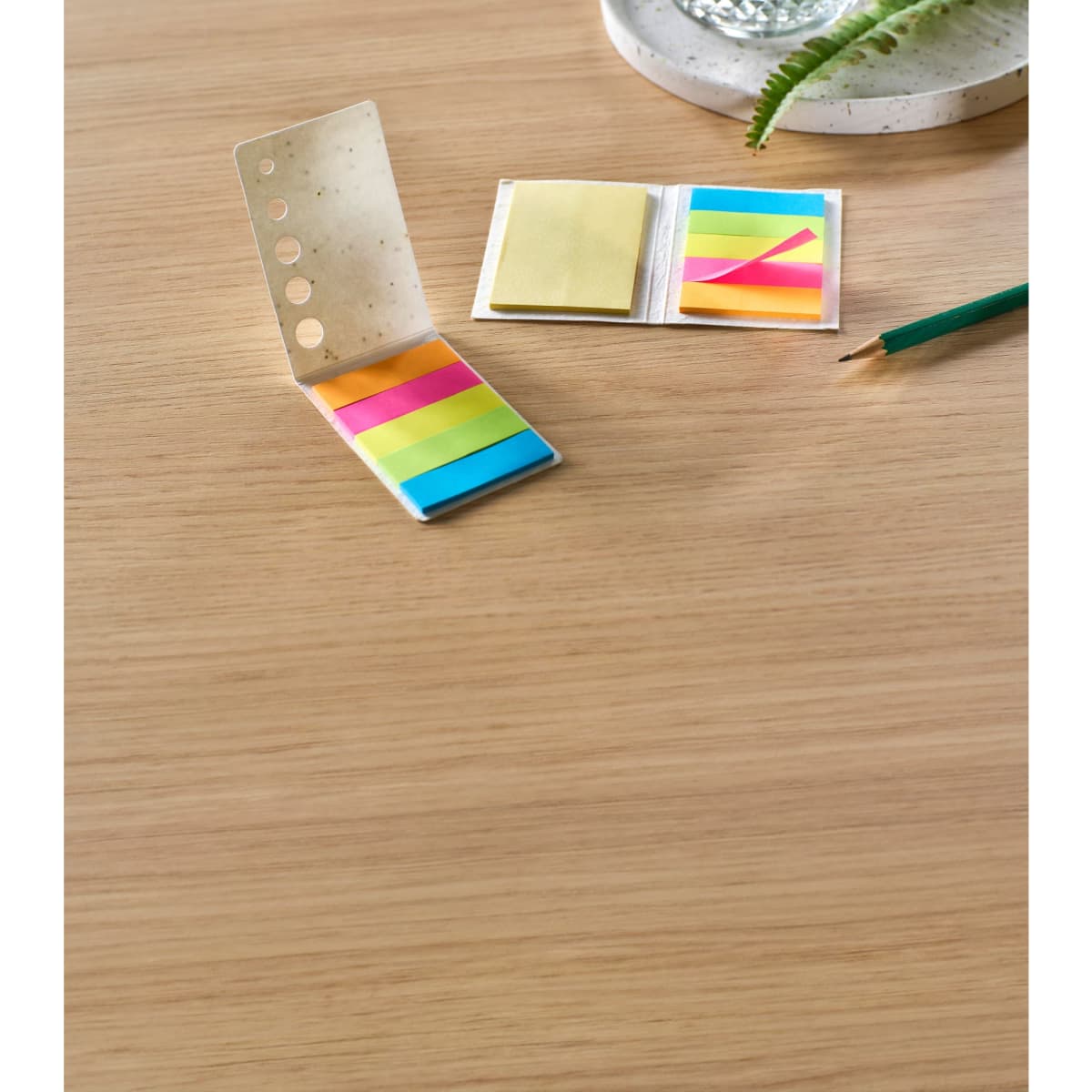 Paper sticky notes seed paper Patricia