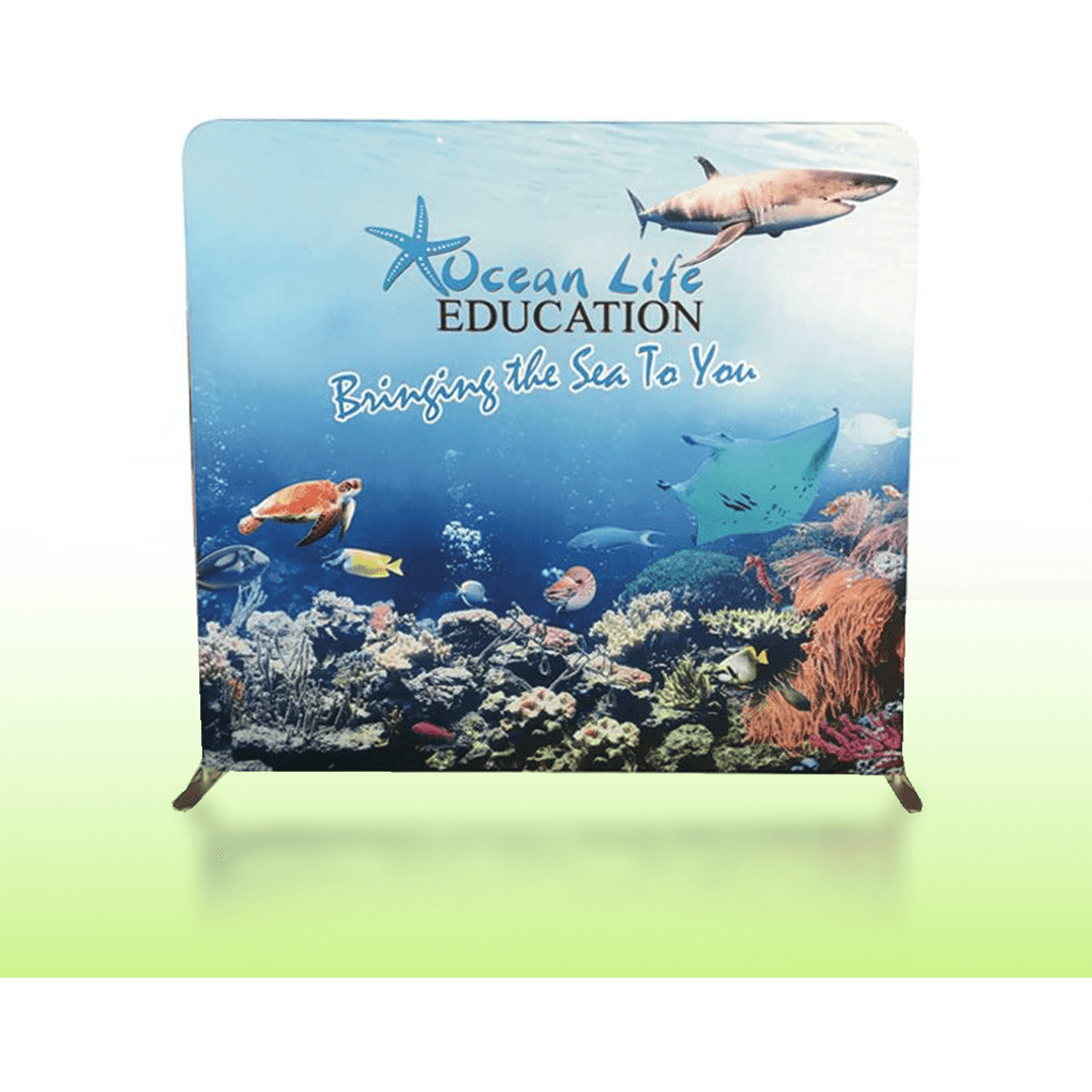 A vibrant backdrop featuring underwater scenes with a shark, turtle, and various fish, set on a display stand.
