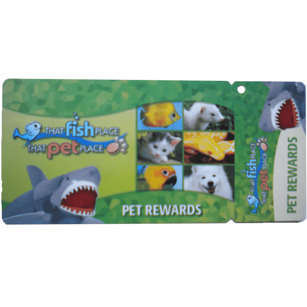 A PVC loyalty card featuring a colourful design with images of pets and a key tag. It includes a logo.
