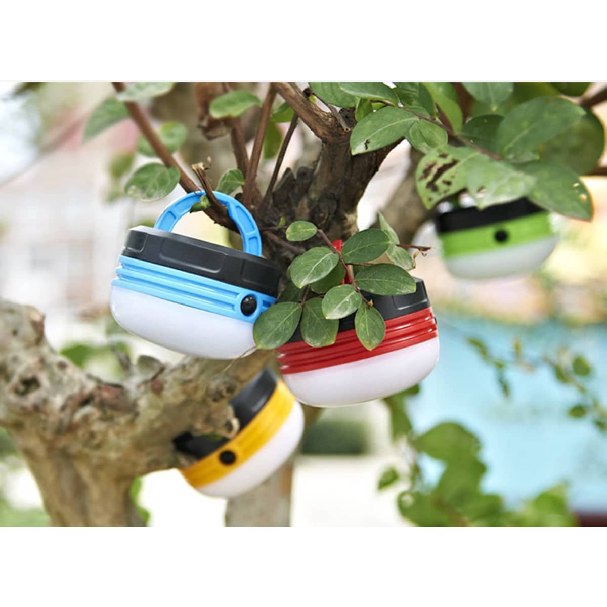 Portable camping lights in blue, red, yellow, and green hanging from a tree amidst green leaves.