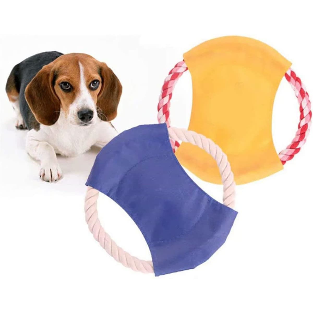 A blue and yellow flying disc toy with rope handles, alongside a beagle dog. The toy is designed for dogs.