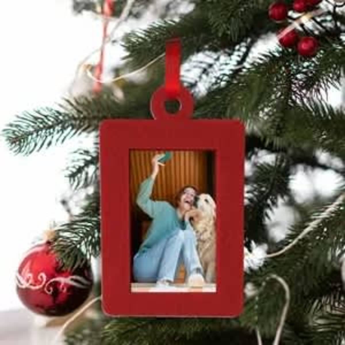 A red felt holiday photo frame hanging on a Christmas tree, featuring a photo of a person with a dog.