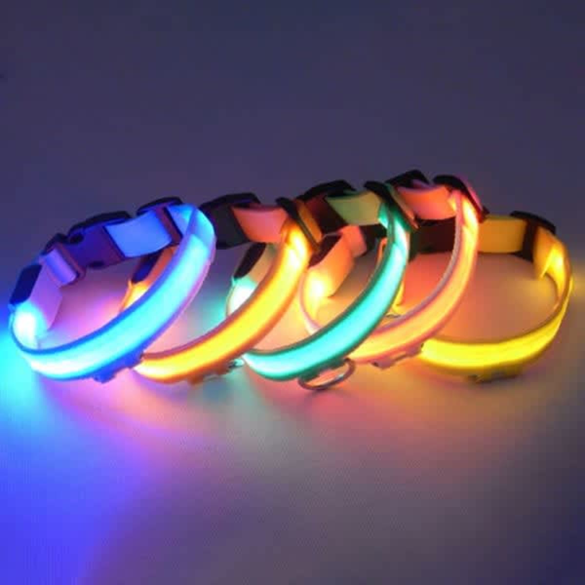 A collection of LED dog collars in various colours including blue, green, yellow, and orange, featuring a logo.