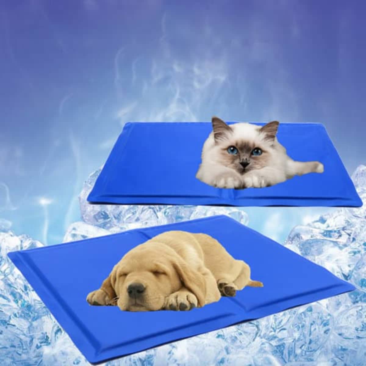 A blue pet cooling mat featuring a resting cat and puppy, surrounded by an icy background.
