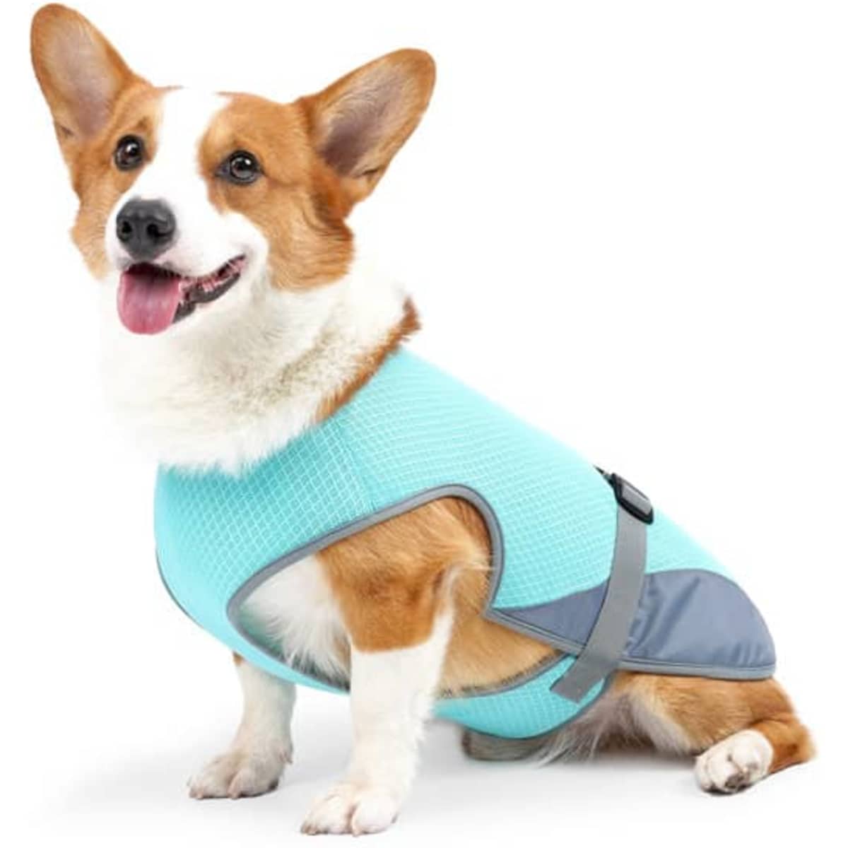 A small dog wearing a light blue and grey breathable cooling vest sits happily, showcasing its comfortable fit.