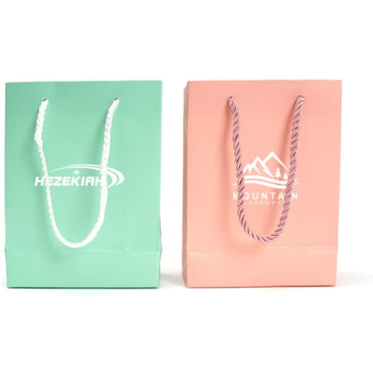 Two custom printed cardboard shopping bags, one teal and one peach, each with handles and logos.