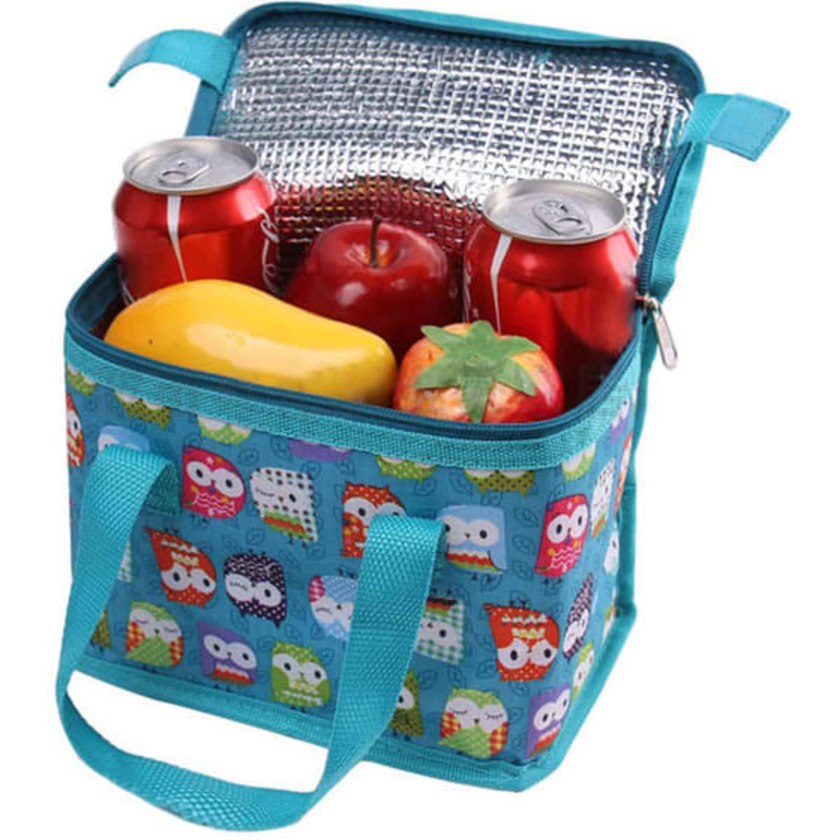 A turquoise cooler bag with zippered top contains two cans, an apple, a mango, and a tomato, featuring an owl design.