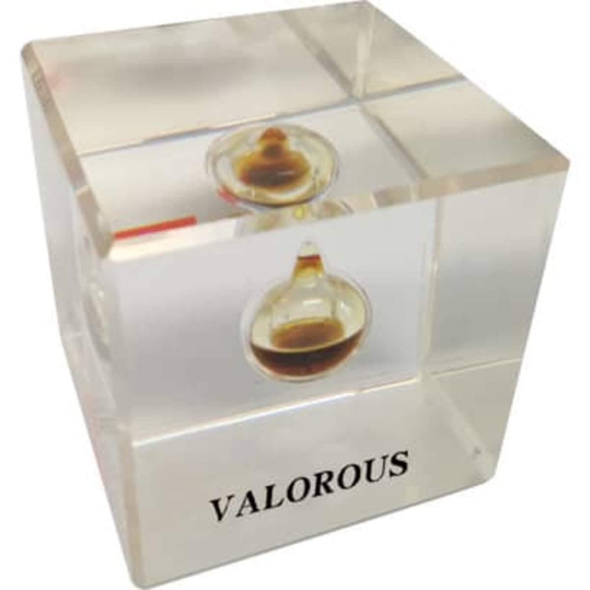 A clear acrylic paperweight with two small oil droplets encased inside, featuring an embossed logo.