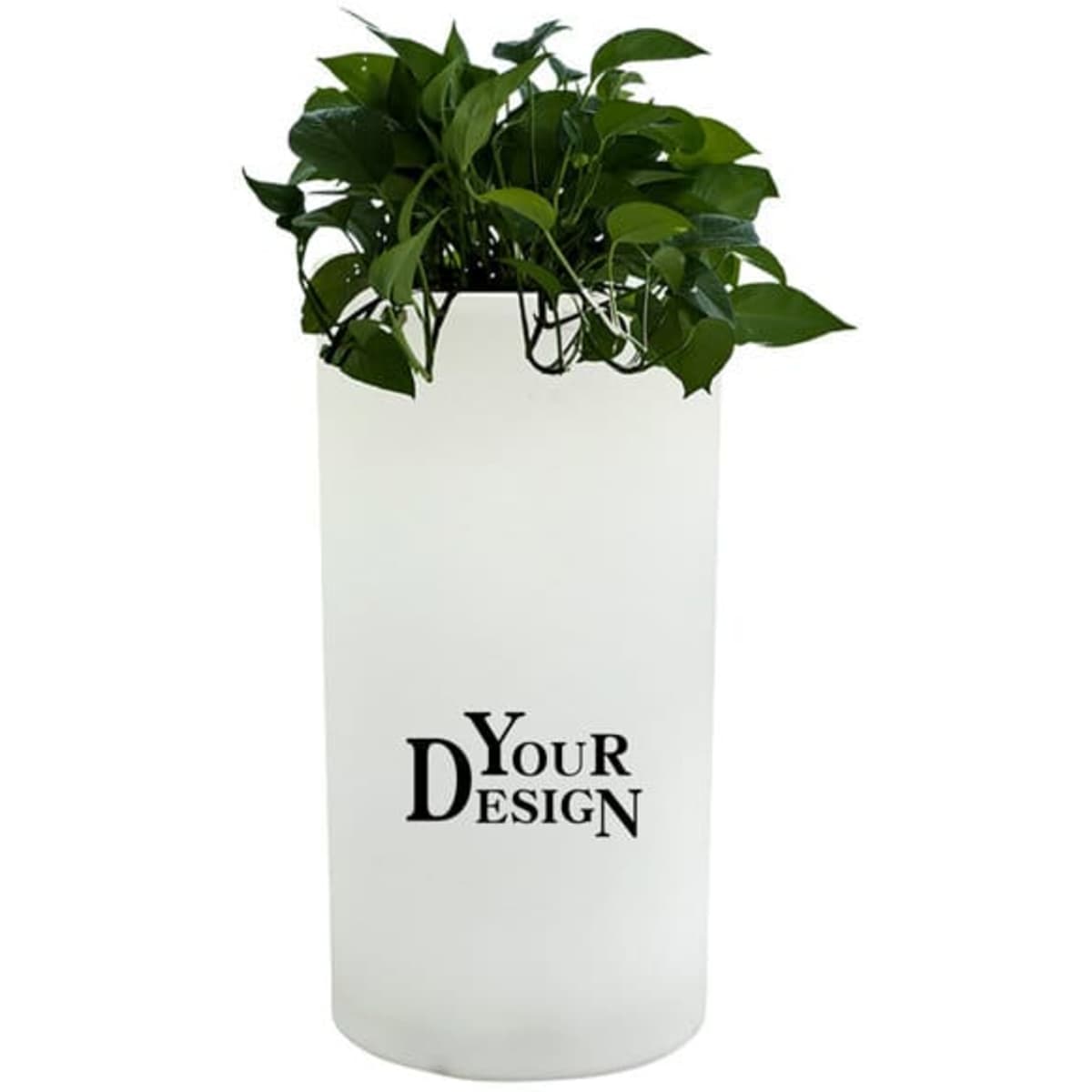 A white LED illuminated flower pot featuring green plants and a logo. Suitable for indoor decoration.