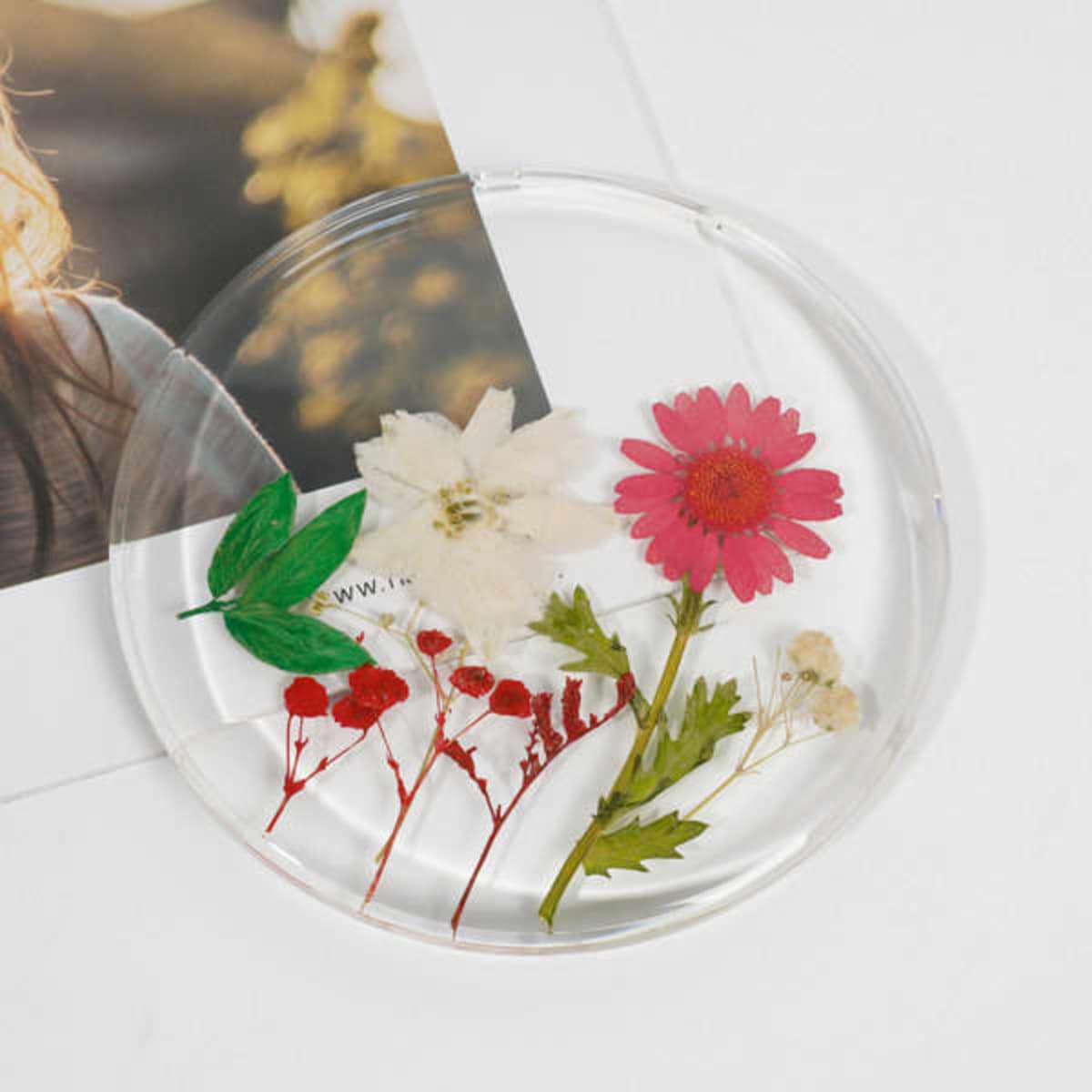A clear resin coaster featuring dried flowers in shades of pink, white, and green, with a decorative leaf and red berries.